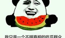 吃瓜群众含义,网络时代的旁观者与评论家