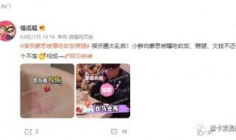 娱乐吃瓜君艺人黑榜