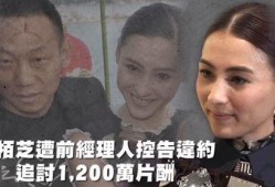 吃瓜观娱乐,吃瓜群众视角下的明星八卦