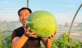 娱乐吃瓜酱百岁,娱乐吃瓜酱的璀璨人生回顾