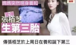 娱乐圈吃瓜实锤小说,那些被实锤的瓜，真相大揭秘