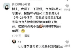 娱乐圈吃瓜抖音博主是谁