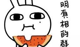 娱乐吃瓜酱法律,法律视角下的娱乐圈风云